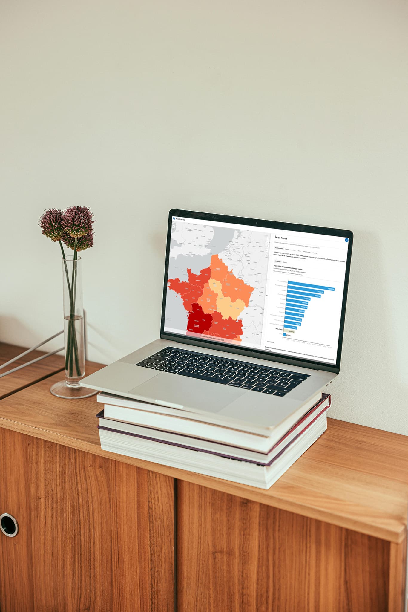 Laptop demo geoapp